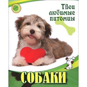 Собаки Собаки