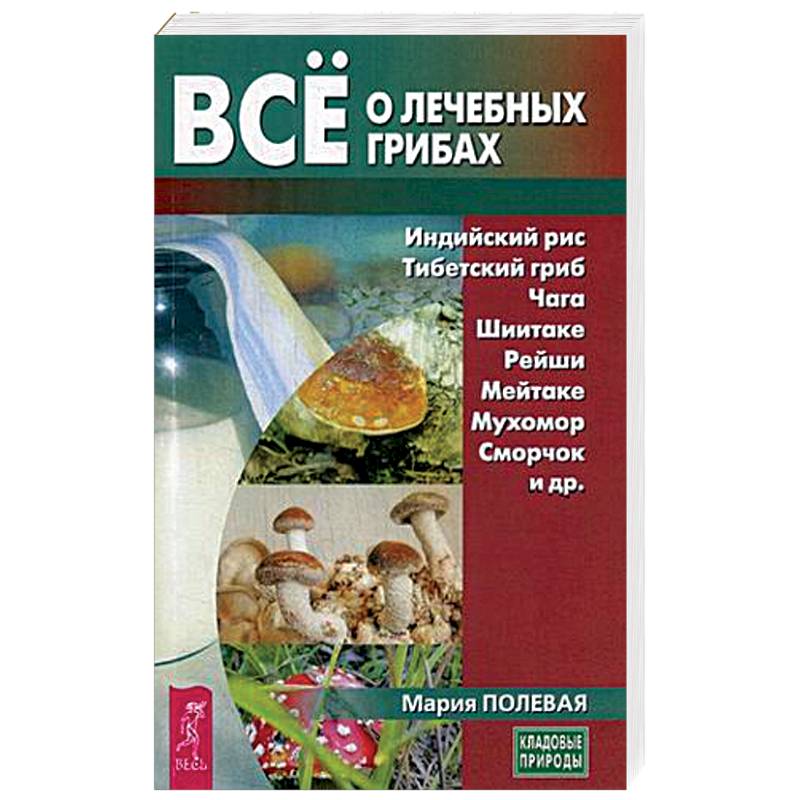 Все о лечебных грибах Все о лечебных грибах