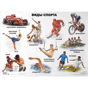 Виды спорта. Плакат