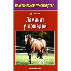 Ламинит у лошадей