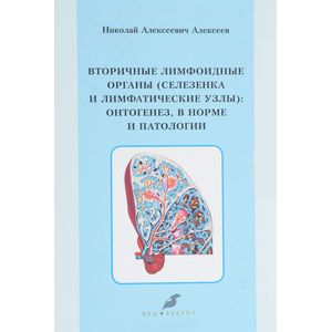 Вторичные лимфоидные органы (селезенка и лимфатические узлы ) : онтогенез, в норме и патологии