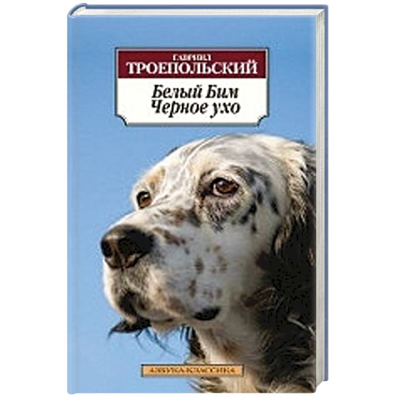 Белый Бим Черное ухо