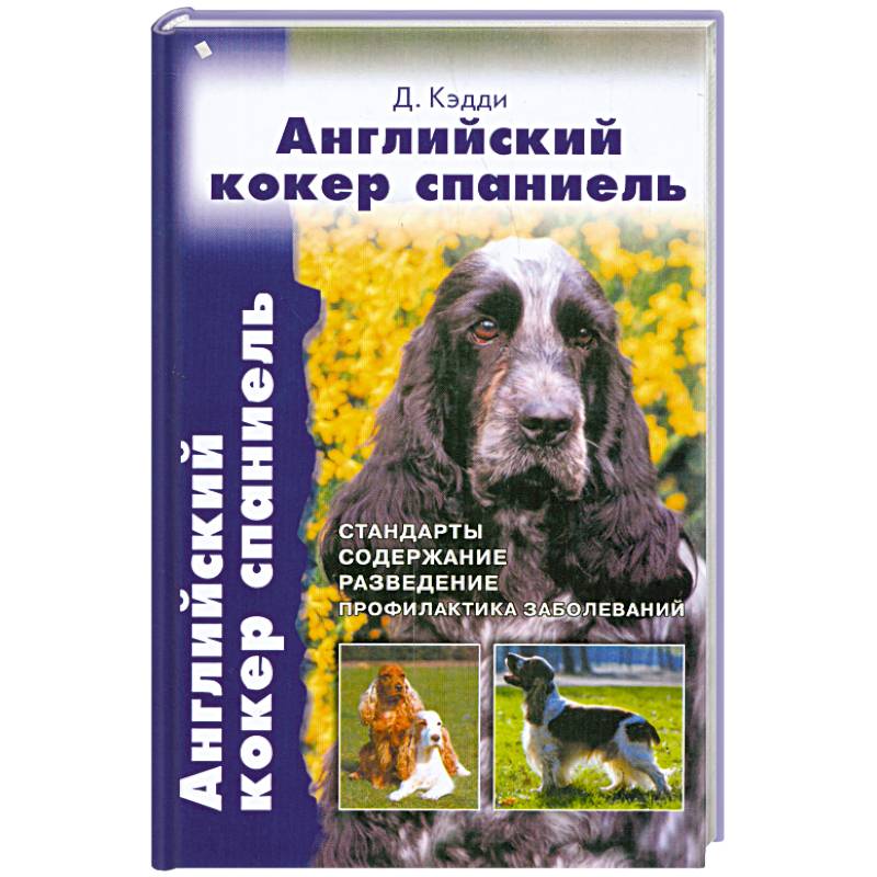 Английский кокер спаниель
