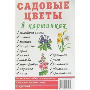 Садовые цветы в картинках
