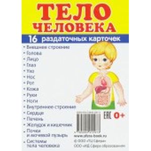 Раздаточные карточки 'Тело человека'