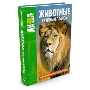 Животные крупным планом. Иллюстрированная энциклопедия