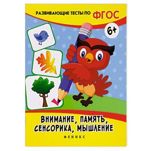 Внимание, память, сенсорика, мышление