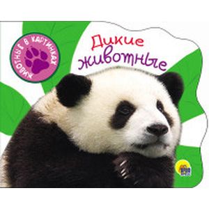 Дикие животные