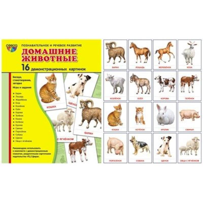 Домашние животные. 16 демонстрационных картинок