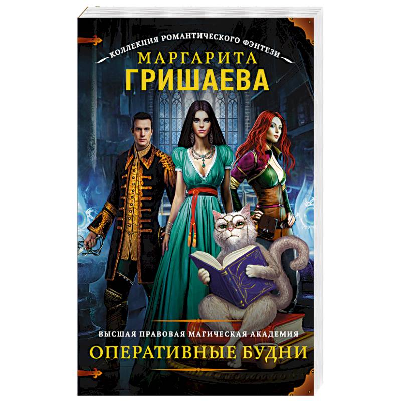 Высшая правовая магическая академия. Оперативные будни
