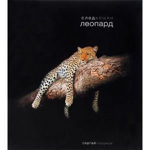 След кошки. Леопард