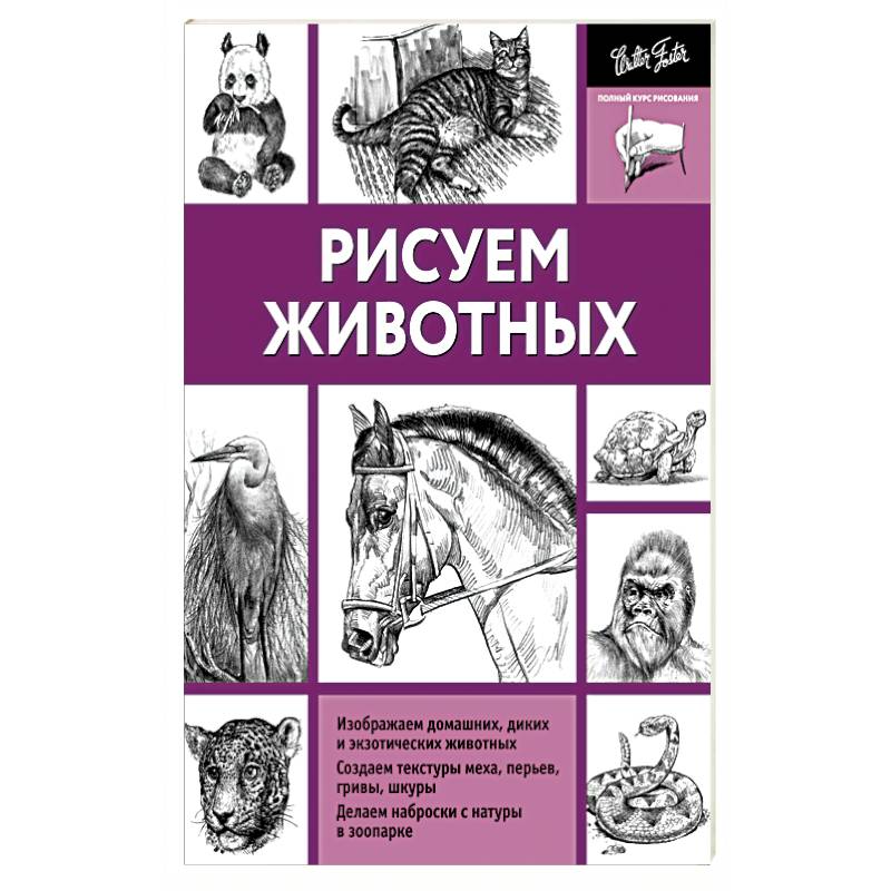 Рисуем животных