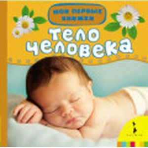 Тело человека