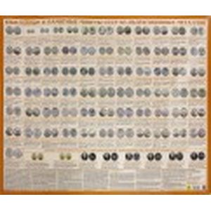 Автомобильные коды регионов Российской Федерации