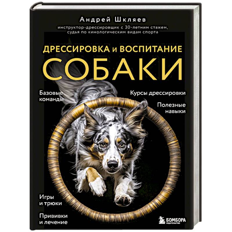 Дрессировка и воспитание собаки Дрессировка и воспитание собаки
