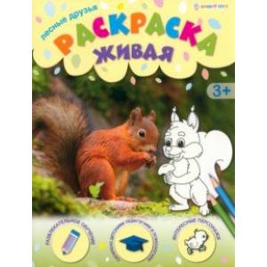 Раскраска живая Лесные друзья