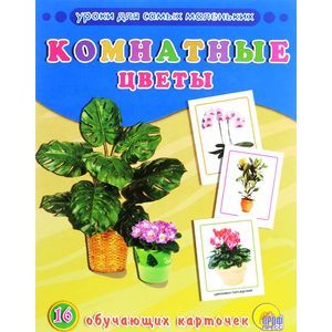 Комнатные цветы (набор из 16 обучающих карточек)