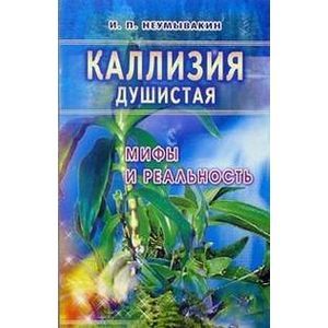 Каллизия душистая: мифы и реальность