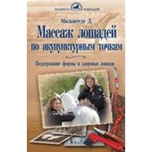 Массаж лошадей по акупунктурным точкам