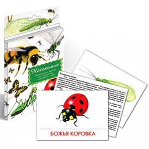 Дидактические карточки. Насекомые