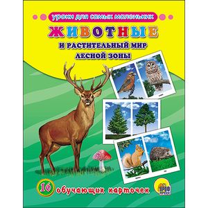 Животные и растительный мир лесной зоны