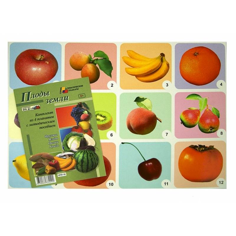 Комплект плакатов 'Плоды земли' (4 плаката: 'Фрукты', 'Ягоды', 'Овощи', 'Грибы') ФГОС ДО