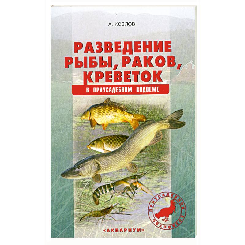 Разведение рыбы, раков,креветок в приусадебном водоеме
