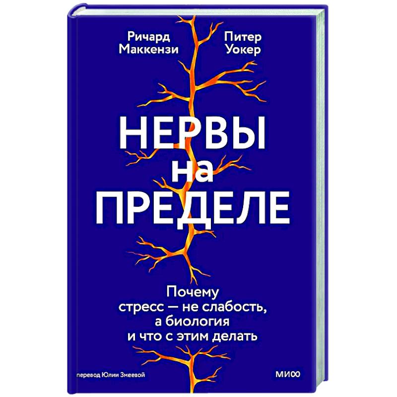 Нервы на пределе. Почему стресс — не слабость, а биология, и что с этим делать Нервы на пределе. Почему стресс — не слабость, а биология, и что с этим делать