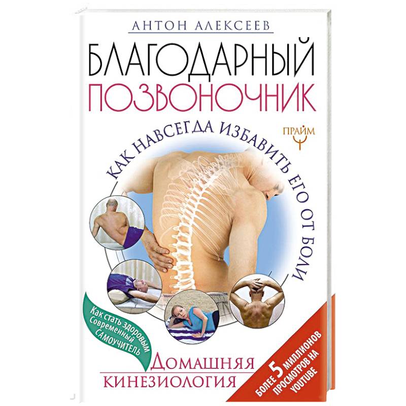 Благодарный позвоночник. Как навсегда избавить его от боли. Домашняя кинезиология Благодарный позвоночник. Как навсегда избавить его от боли. Домашняя кинезиология