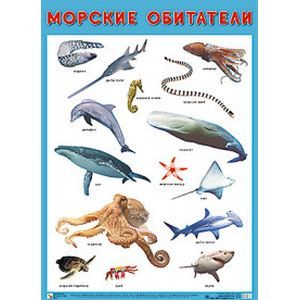 Плакат «Морские обитатели»