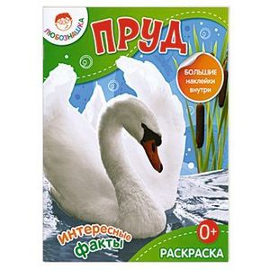 Пруд. Раскраска