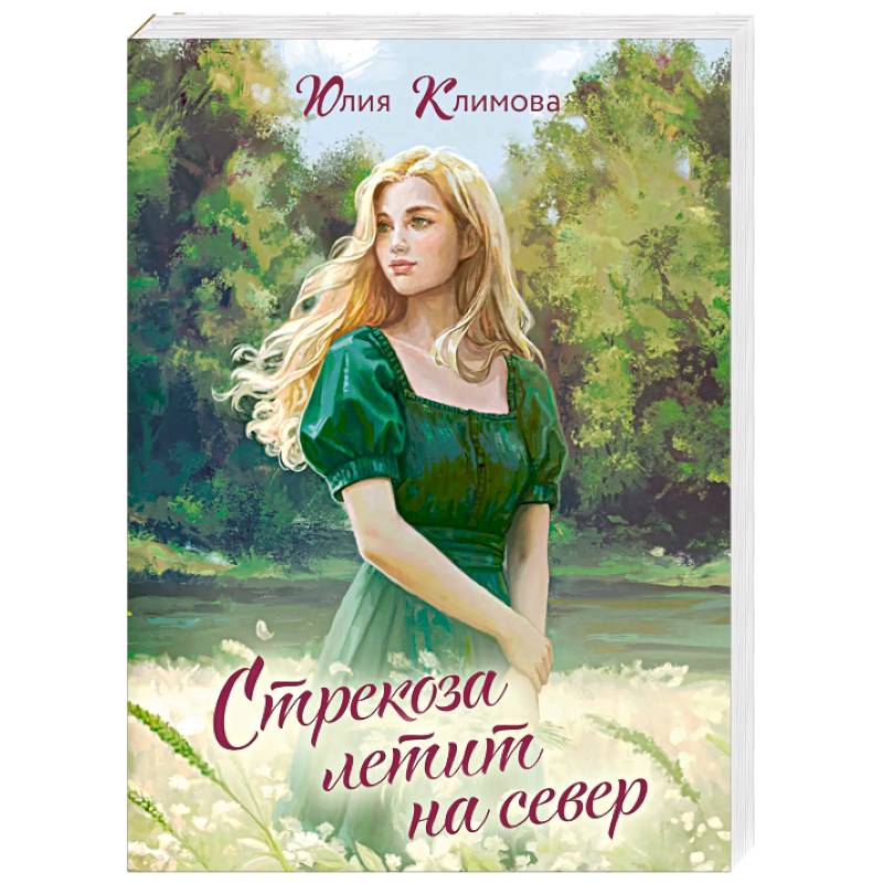 Стрекоза летит на север (Путь домой #1)