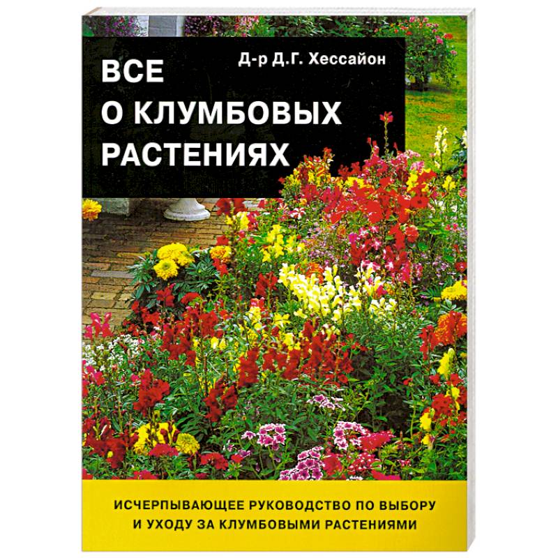 Все о клумбовых растениях
