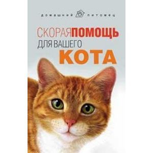 Скорая помощь для вашего кота