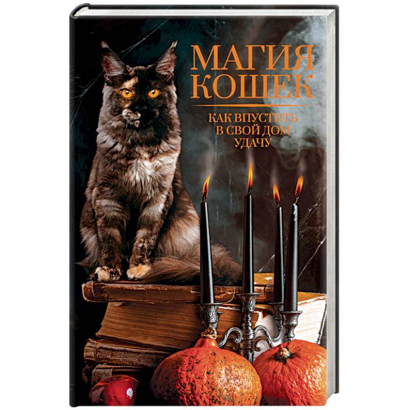 Магия кошек. Как впустить в свой дом удачу