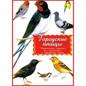 Дидактические карточки. Городские птицы