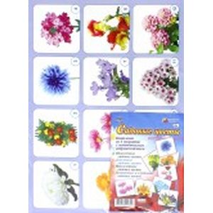 Комплект плакатов. Садовые цветы. 4 плаката. ФГОС ДО