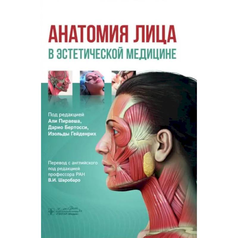 Анатомия лица в эстетической медицине