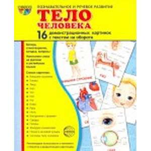 Демонстрационные картинки 'Тело человека'
