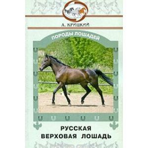 Русская верховая лошадь
