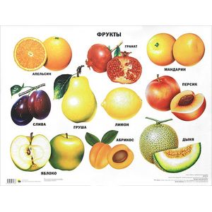 Фрукты. Плакат.