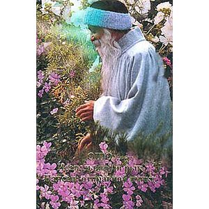 Ошо. Нансен. Отправной пункт. Исан: львиный рык