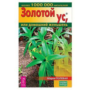 Золотой ус, или Домашний женьшень Золотой ус, или Домашний женьшень