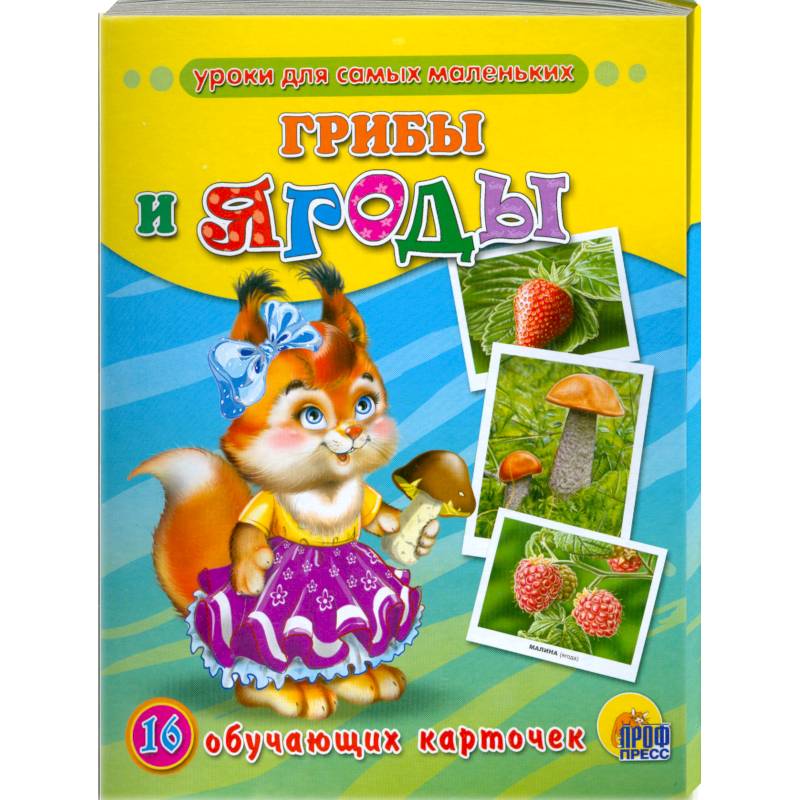 Обучающие карточки. Грибы и ягоды
