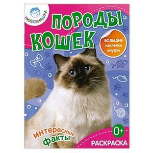 Породы кошек. Раскраска