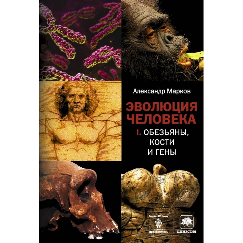 Эволюция человека. [В 2 кн.] Кн. 1. Обезьяны, кости и гены
