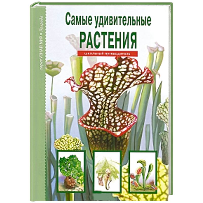 Самые удивительные растения. Школьный путеводитель