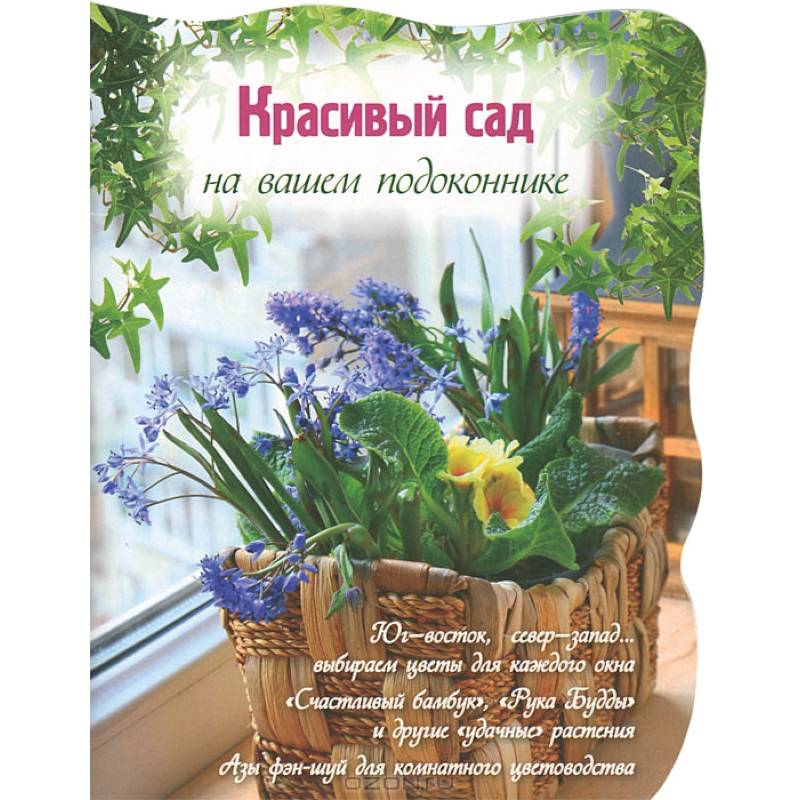 Красивый сад на вашем подоконнике