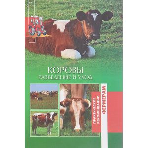 Коровы. Разведение и уход