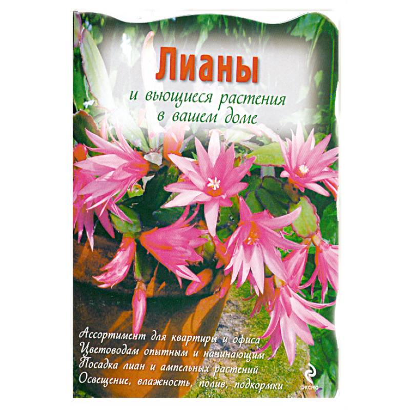 Лианы и вьющиеся растения в вашем доме